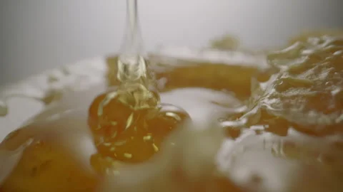 Raw Honey dripping with Honeycomb Stock Footage 282645281