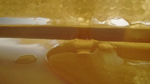 Raw Honeycomb Honey dripping Stock Footage 282645208