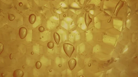 Raw Honeycomb Honey dripping Stock Footage 282645310