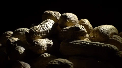 Raw Inshell Peanuts fried with salt.  Rotation. peanuts in shell. Stock Footage 102274581