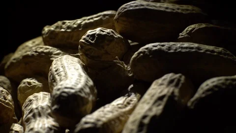 Raw Inshell Peanuts fried with salt.  Rotation. peanuts in shell. Stock Footage 102274905