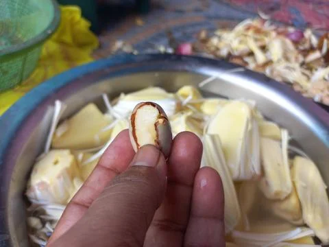 Raw jackfruit vegetable in the hand, Stock Photos