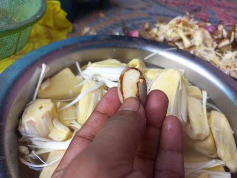 Raw jackfruit vegetable in the hand, Stock Photos
