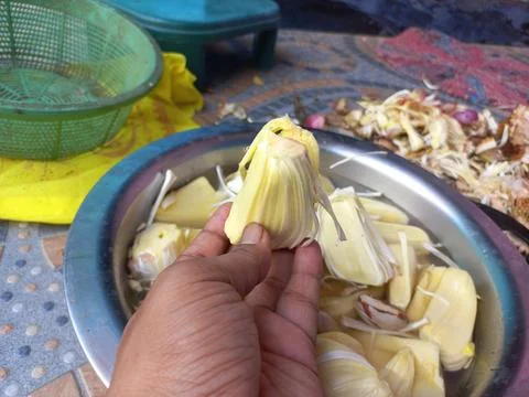 Raw jackfruit vegetable in the hand, Stock Photos