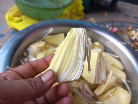 Raw jackfruit vegetable in the hand, Stock Photos