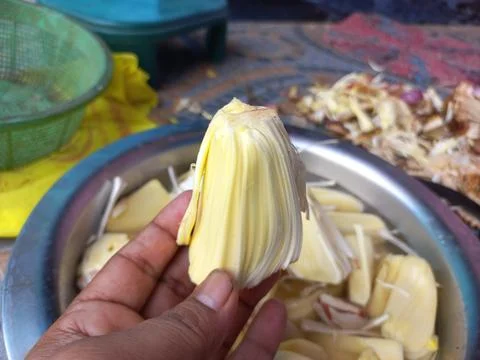 Raw jackfruit vegetable in the hand, Stock Photos