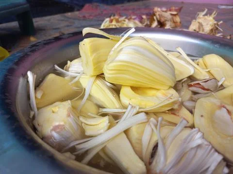 Raw jackfruit vegetable in the hand, Stock Photos