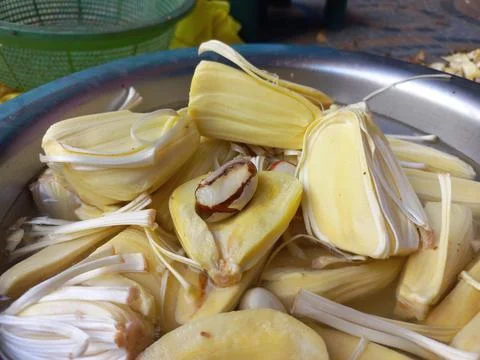 Raw jackfruit vegetable in the hand, Stock Photos