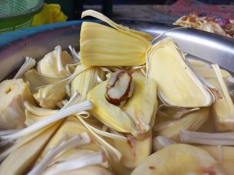 Raw jackfruit vegetable in the hand, Stock Photos