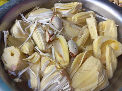 Raw jackfruit vegetable in the hand, Stock Photos