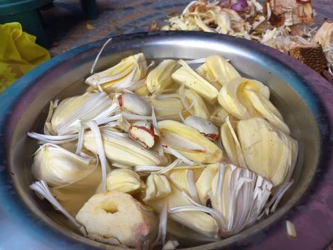Raw jackfruit vegetable in the hand, Stock Photos