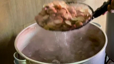 Raw Jengkol (Archidendron pauciflorum or Dogfruit, Stinky Bean) Video stock 336888134