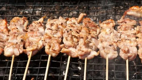 Raw kebabs on the grate for grilling Stock Photos