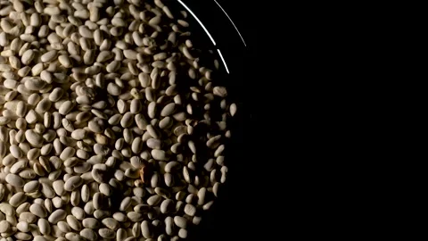 Raw Kidney Beans Rotating on Black Tray Close Up Stock Footage 329968911