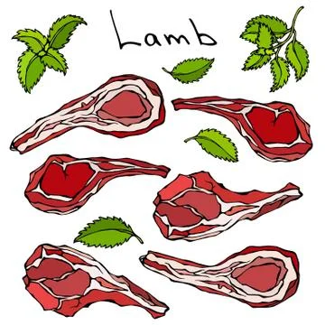 Raw Lamb Chop Ribs Set. Realistic Vector Illustration Isolated Hand Drawn Doodle Illustrazione stock