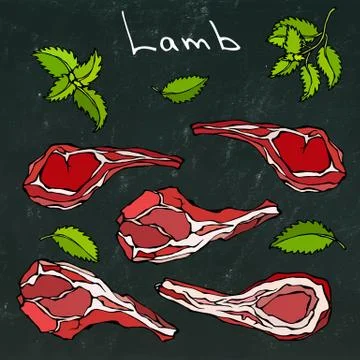 Raw Lamb Chop Ribs Set. Realistic Hand Drawn Doodle Style Sketch.Vector Illustrazione stock