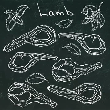 Raw Lamb Chop Ribs Set. Realistic Hand Drawn Doodle Style Sketch.Vector Stock Illustration