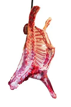 Raw lamb Stock Photos