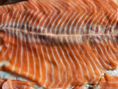 Raw large thin slice of salmon laid on paper towel Stock Photos