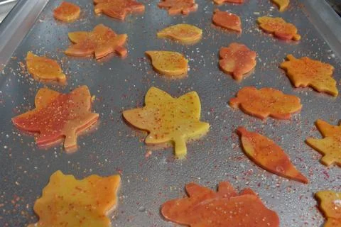Raw Leaf Shaped Fall Cookies on a Baking Sheet Stock Photos