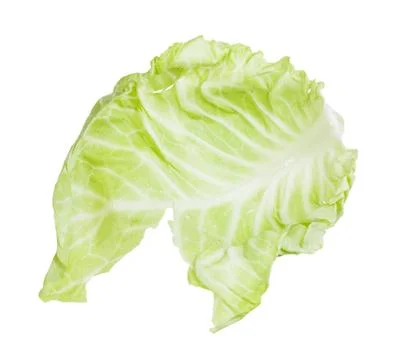Raw leaf of white cabbage vegetable isolated Stock Photos