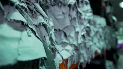 Raw leather in factory - Stock Footage 202462014