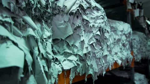 Raw leather in factory Stock Footage 202462092