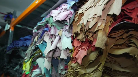 Raw leather manufacturing Stock Footage 202462344