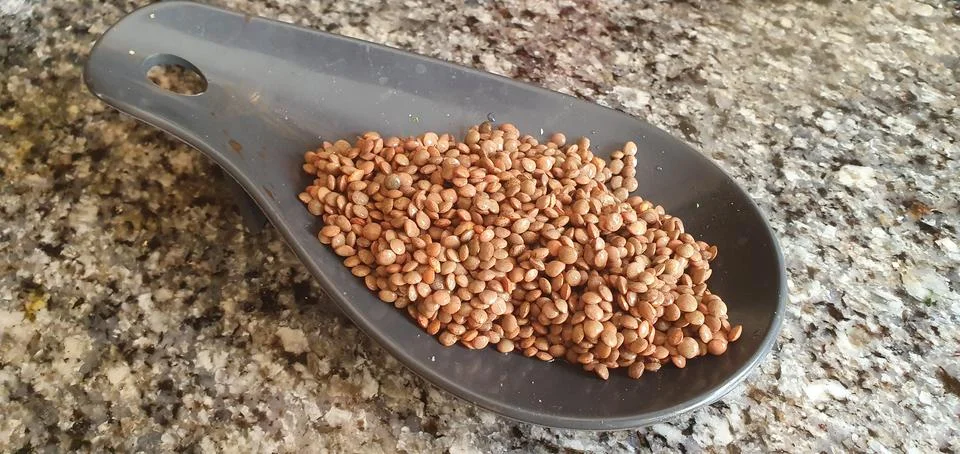 Raw lentils in a silicone container. Foto stock