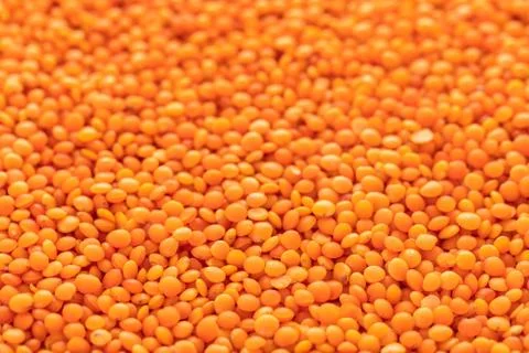 Raw lentils texture closeup Stock Photos