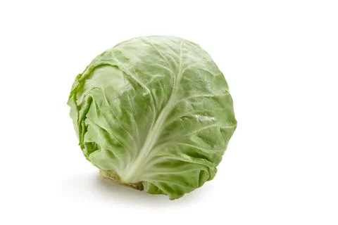 Raw, light green cabbage isolated on white background. Smooth-leafed vegetable Stock Photos