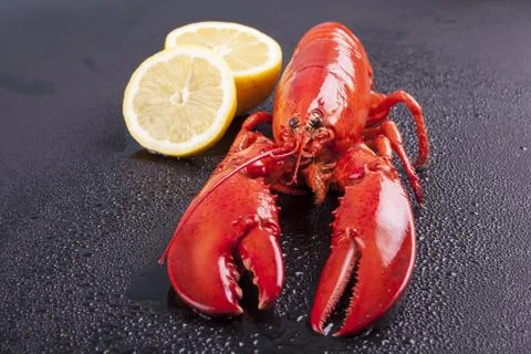 Raw lobster isolated Stock Photos