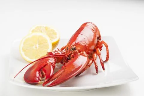 Raw lobster isolated Foto stock