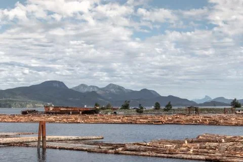Raw logs floating down the Queen Charlotte Strain in Sayward Stock Photos