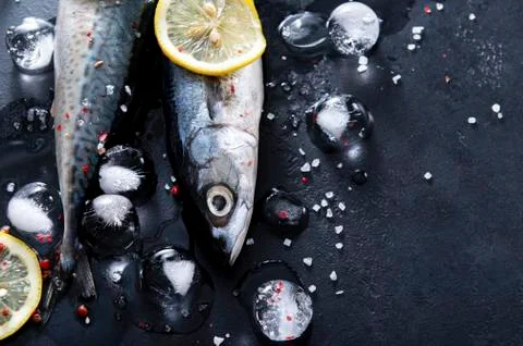 Raw mackerel, 2 fish, ice cubes, spices, salt ,   lemon slices, on a black  , Stock Photos
