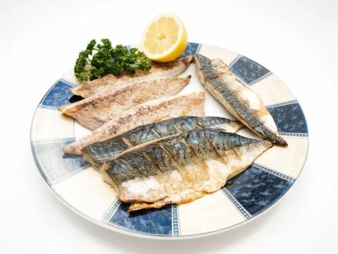 Raw mackerel filet Stock Photos