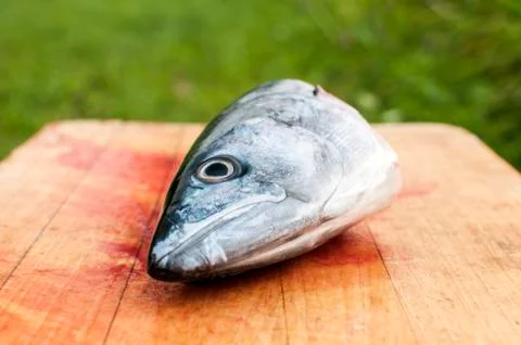 Raw mackerel fish head Stock Photos