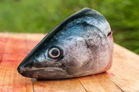 Raw mackerel fish head Stock Photos