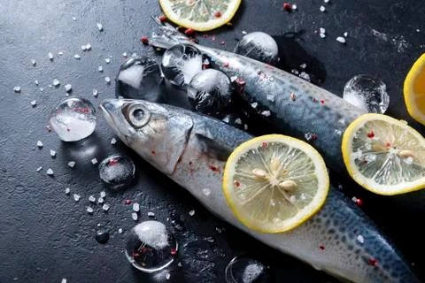 Raw mackerel fish, ice cubes, spices, salt ,   lemon slices, on a black backg Foto stock