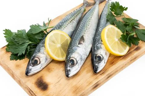 Raw mackerel fish isolated on white background. Stock Photos