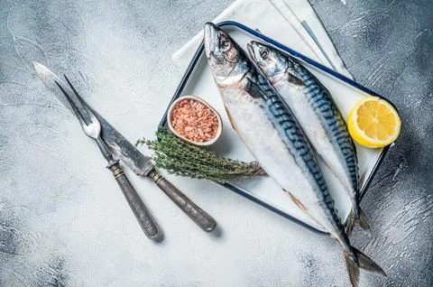 Raw mackerel scomber fish with ingredients for cooking in baking dish. Whit.. Stock Photos