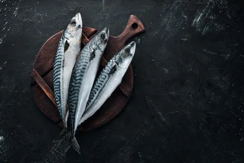 Raw mackerel on stone background. Fish and seafood. Top view. Free copy space Stock Photos