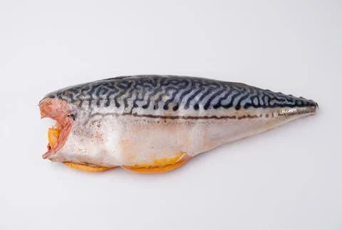 Raw mackerel stuffed with lemon and spices on a white background. Stock Photos