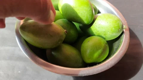 Raw mango in farmer hand. Stock Footage 194642075