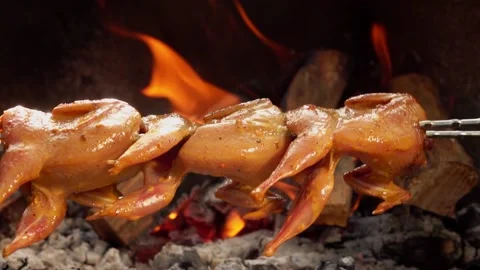 Raw marinated quails on the skewer are placed above the open fire Stock Footage 147657998