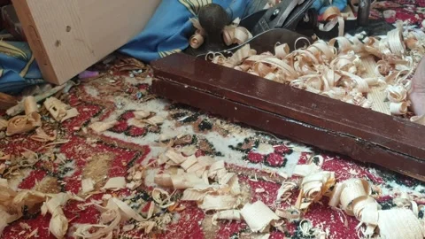 Raw material of wood Stock Footage 247169959