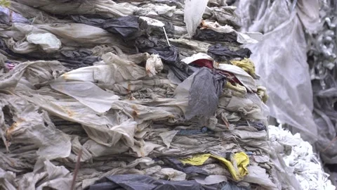 Raw materials with garbage in the processing plant Video stock 163745842