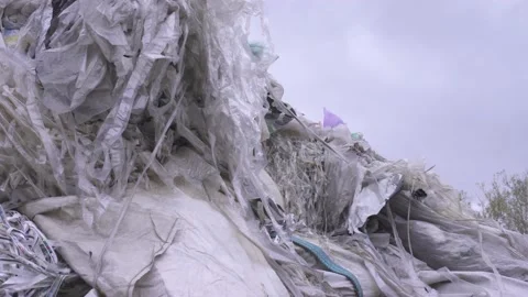 Raw materials with garbage in the processing plant Video stock 163745901