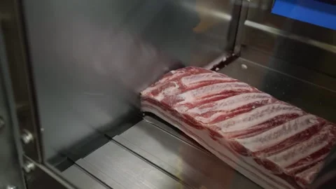Raw Meat Chunk Being Sliced by Automatic Cutting Machine 動画素材 335258428