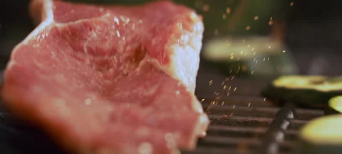 Raw meat falling from the above Vídeo Stock 311833655